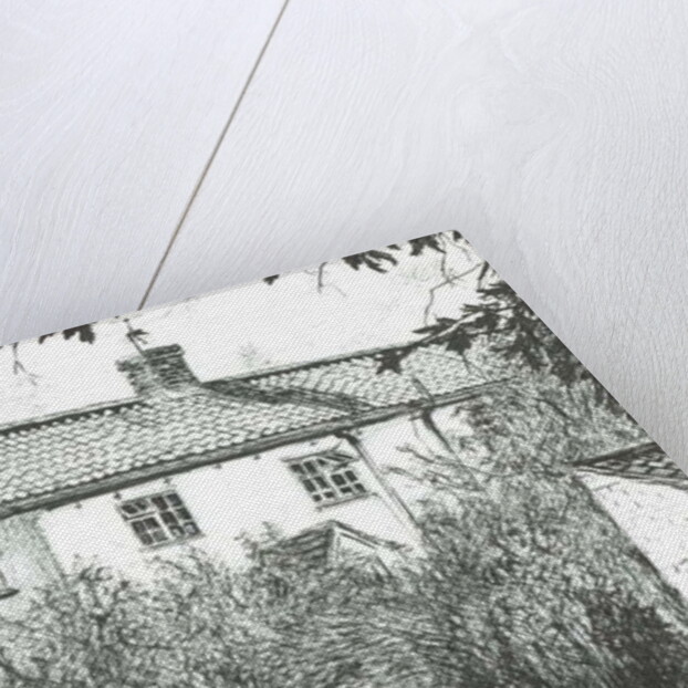 Hurrells Row, 2008 by Vincent Alexander Booth