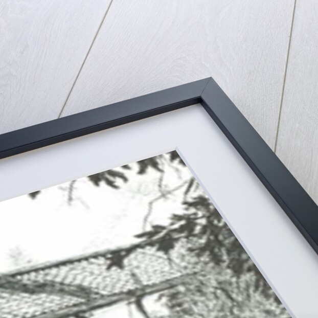 Hurrells Row, 2008 by Vincent Alexander Booth