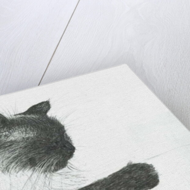 Babee, 2000 by Vincent Alexander Booth