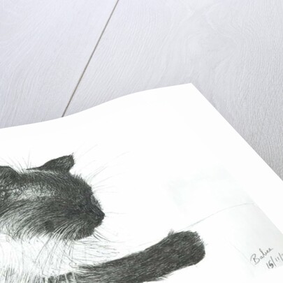 Babee, 2000 by Vincent Alexander Booth