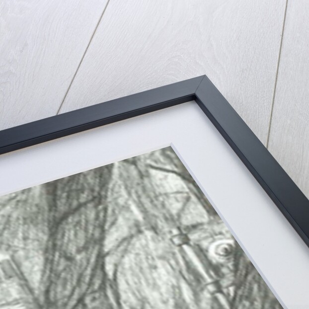 The old metal bridge, Bramhall park, 2004 by Vincent Alexander Booth