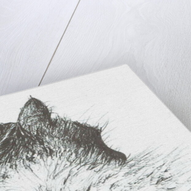 Baby keeps warm New Year, 2005 by Vincent Alexander Booth