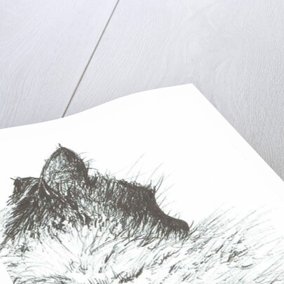 Baby keeps warm New Year, 2005 by Vincent Alexander Booth