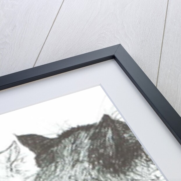 Montwee and Baby New Year, 2005 by Vincent Alexander Booth