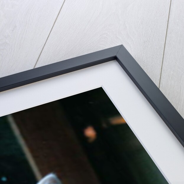 Ice kitten, 2006 by Vincent Alexander Booth