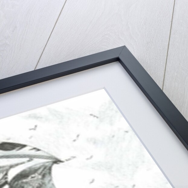 Storm creators Seto Inland Sea, 2018 by Vincent Alexander Booth