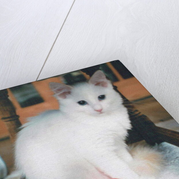 Red Ball Boy, 2017 by Vincent Alexander Booth