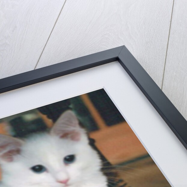 Red Ball Boy, 2017 by Vincent Alexander Booth