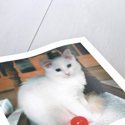 Red Ball Boy, 2017 by Vincent Alexander Booth