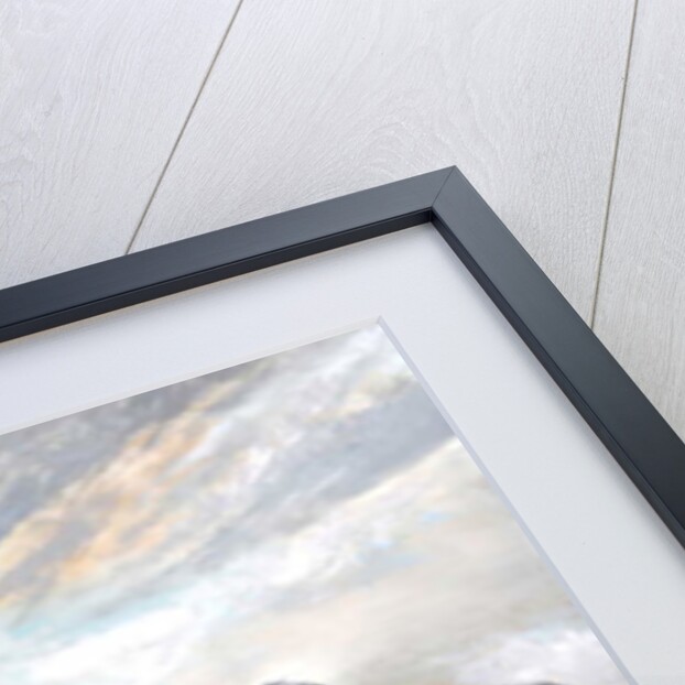 Check Point 4, 2019 by Vincent Alexander Booth