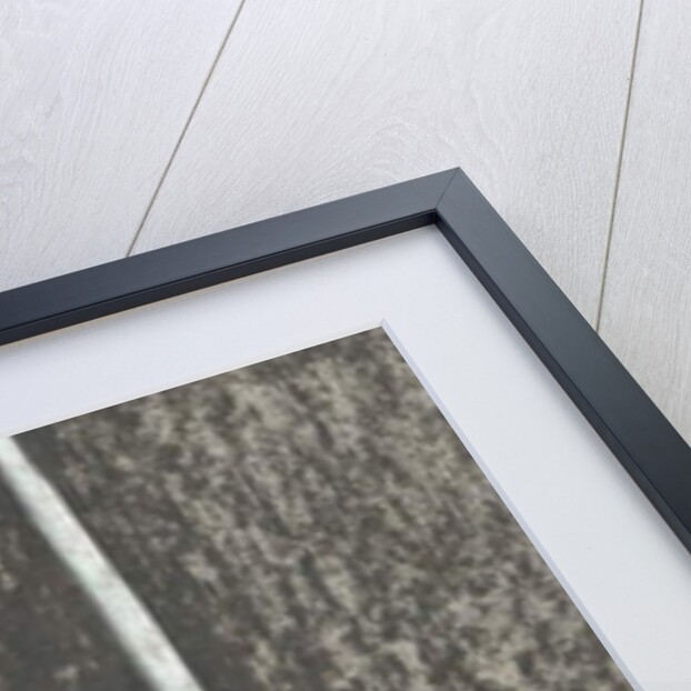 The Pose, 1996 by Vincent Alexander Booth