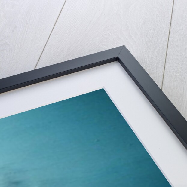 Scharnhorst in morning mist Channel Dash 1942, 2014 by Vincent Alexander Booth