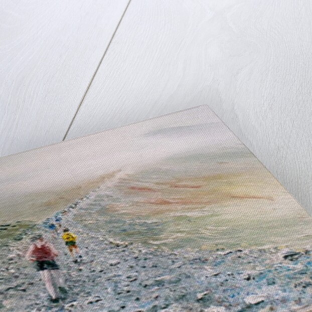 Run up Snowdon, 2014 by Vincent Alexander Booth