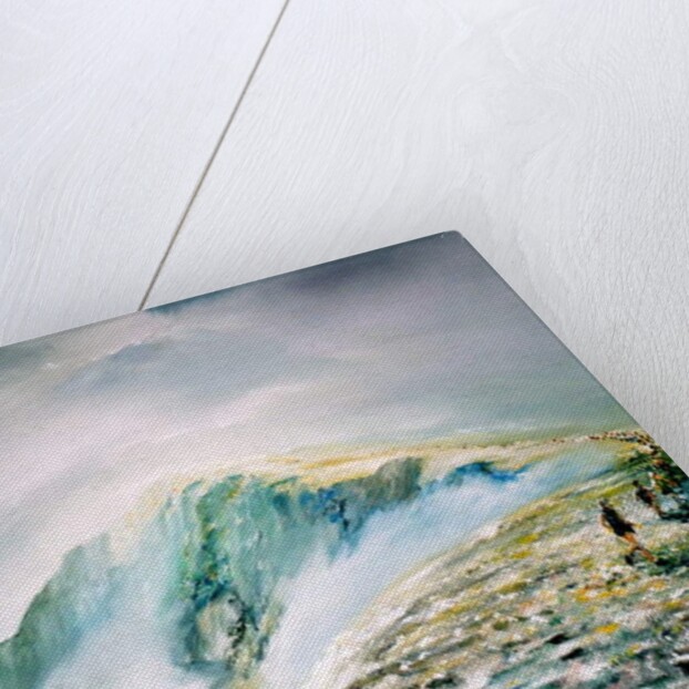 Summer race on Helvellyn, 2013 by Vincent Alexander Booth