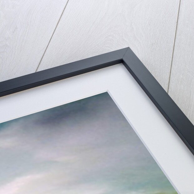 Summer race on Helvellyn, 2013 by Vincent Alexander Booth