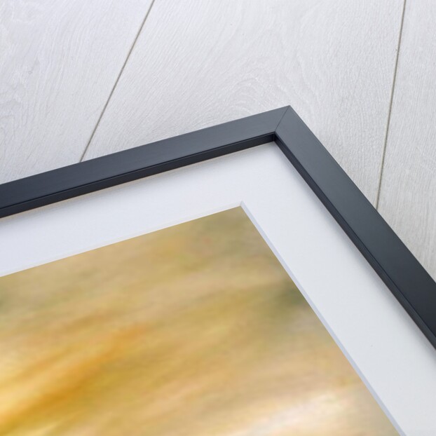 Dawn before the dawn of disaster HMS Hood 1941, 2012 by Vincent Alexander Booth