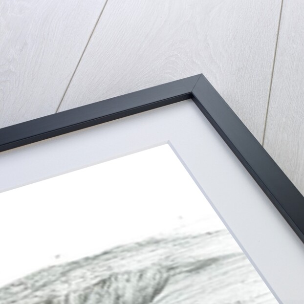 Slopes of Hartfell, 2003 by Vincent Alexander Booth