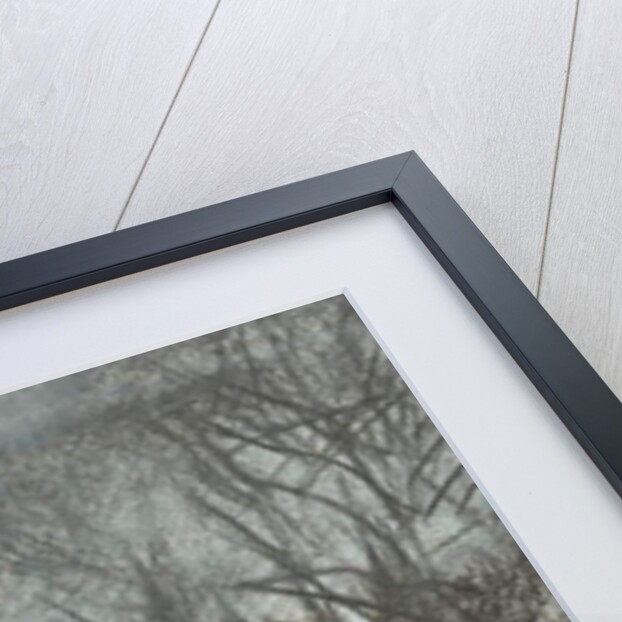 Moonlight over Osmotherley, 1997 by Vincent Alexander Booth