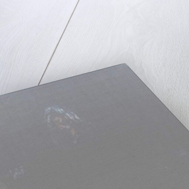 The Guitarist, 2009 by Vincent Alexander Booth