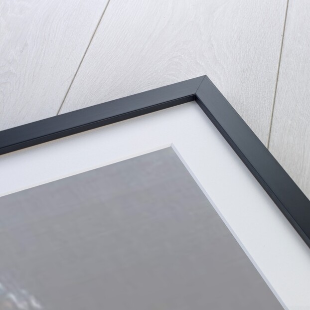 The Guitarist, 2009 by Vincent Alexander Booth