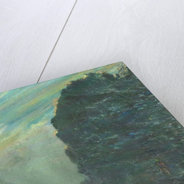 Rocky ascent up mountain, 2011 by Vincent Alexander Booth