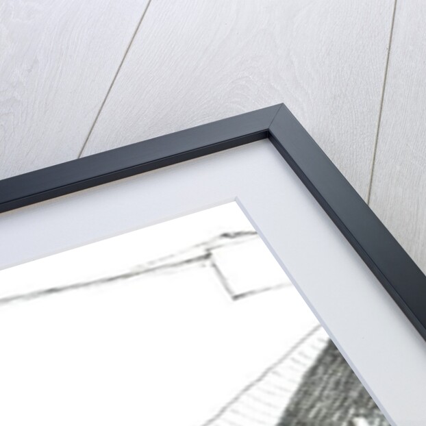 Aquarium Boston Mass, 2003 by Vincent Alexander Booth