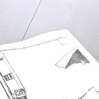 Aquarium Boston Mass, 2003 by Vincent Alexander Booth