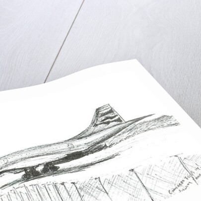 Concord's last landing, 2003 by Vincent Alexander Booth