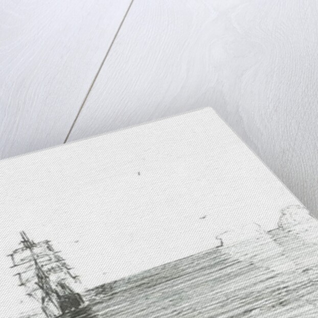 Terra Nova under sail, 2008 by Vincent Alexander Booth