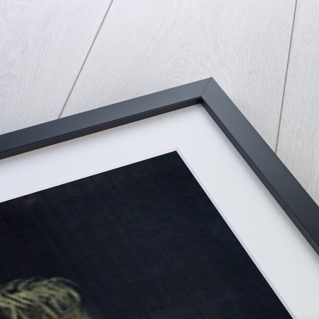 Guitarist fan, 2009 by Vincent Alexander Booth