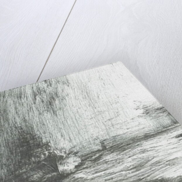 Tirpitz in Arctic waters 1943, 2009 by Vincent Alexander Booth