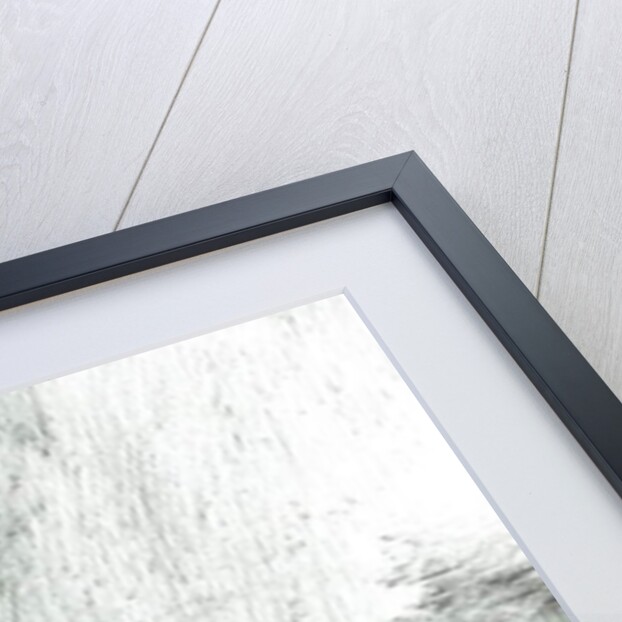 Tirpitz in Arctic waters 1943, 2009 by Vincent Alexander Booth