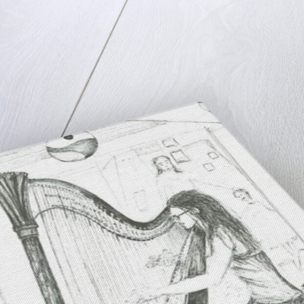 The Harpist 8th day cafe Manchester, 2007 by Vincent Alexander Booth