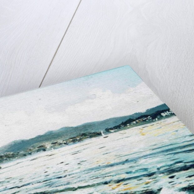 Swan on lake, 2010 by Vincent Alexander Booth