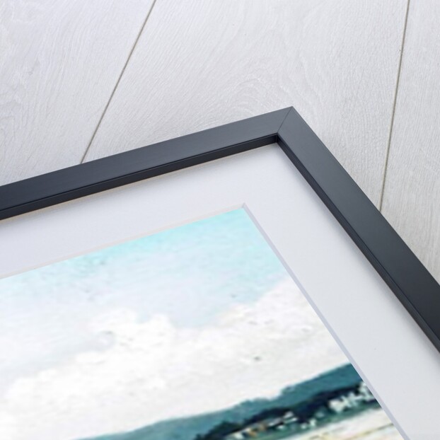 Swan on lake, 2010 by Vincent Alexander Booth