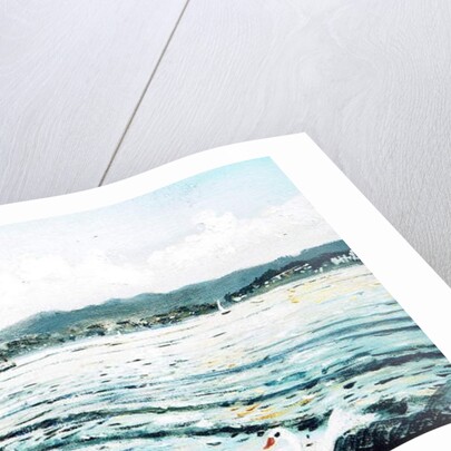 Swan on lake, 2010 by Vincent Alexander Booth