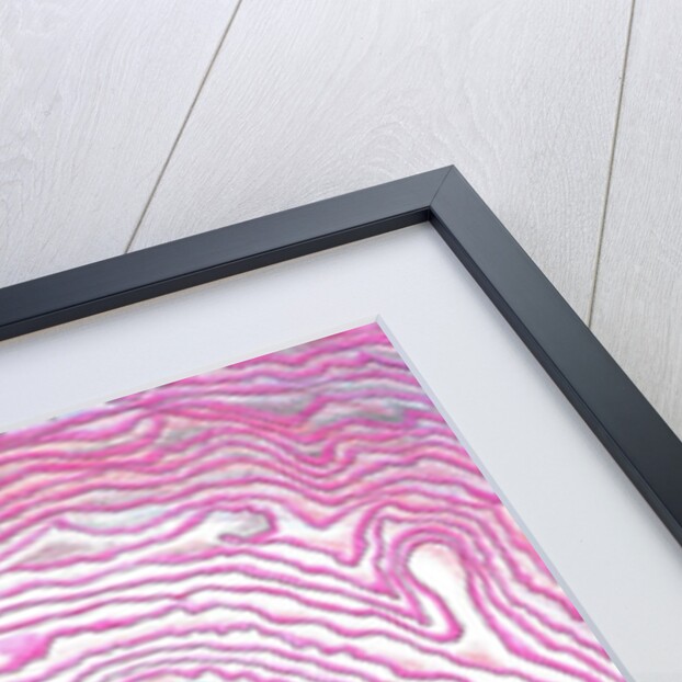 Depth of Spiral, 2008, by Vincent Alexander Booth