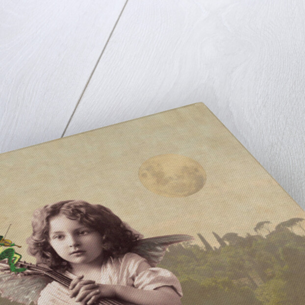 Frog Chorus, 2014 by Olga Snell