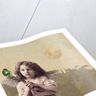 Frog Chorus, 2014 by Olga Snell