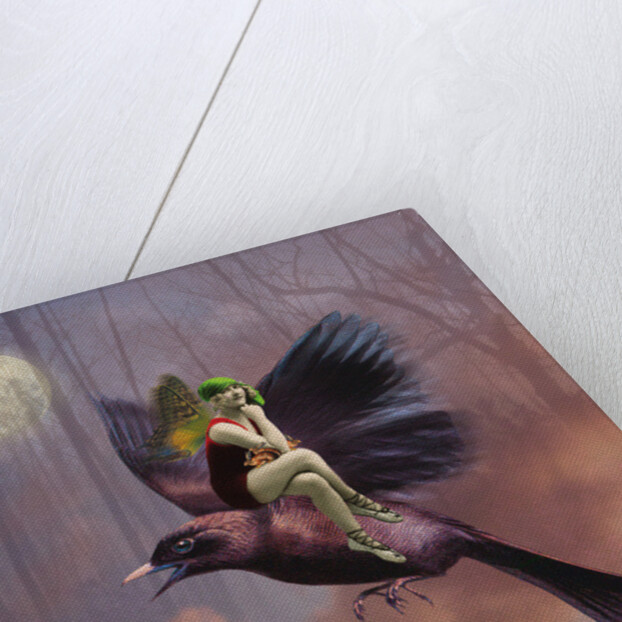 Flight, 2014 by Olga Snell