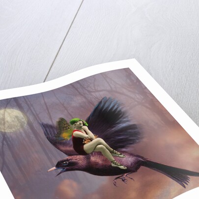 Flight, 2014 by Olga Snell