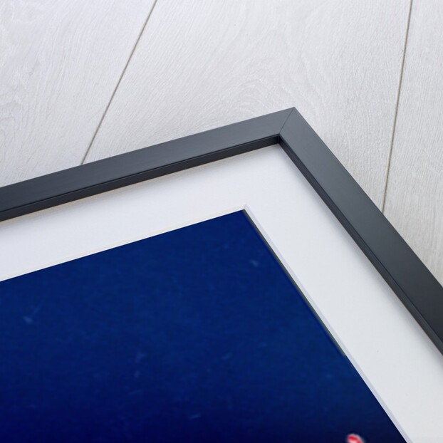 Portal, 2013 by Yoyo Zhao