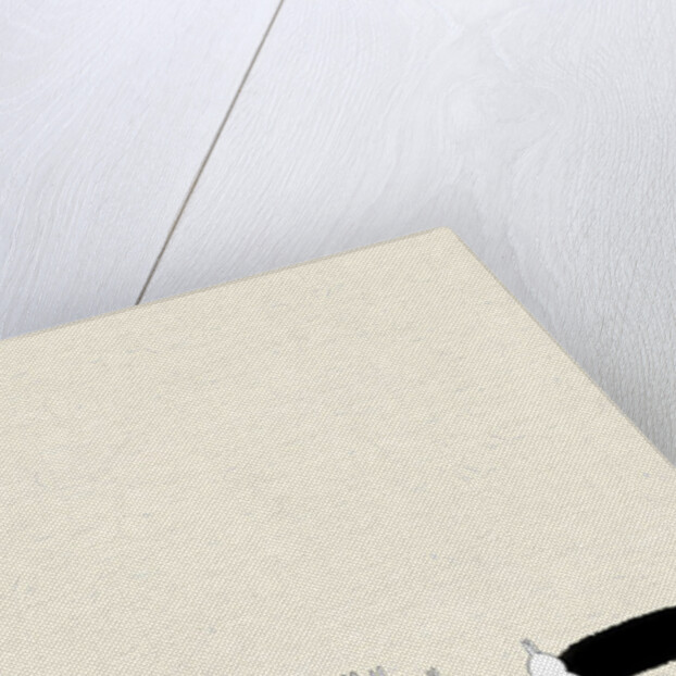 Those Boots , 2014 by Yoyo Zhao