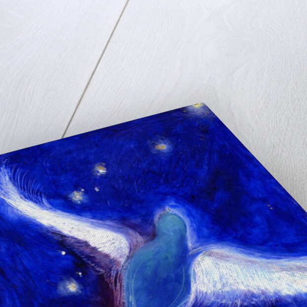 Star Bird, 2012 by Nancy Moniz Charalambous