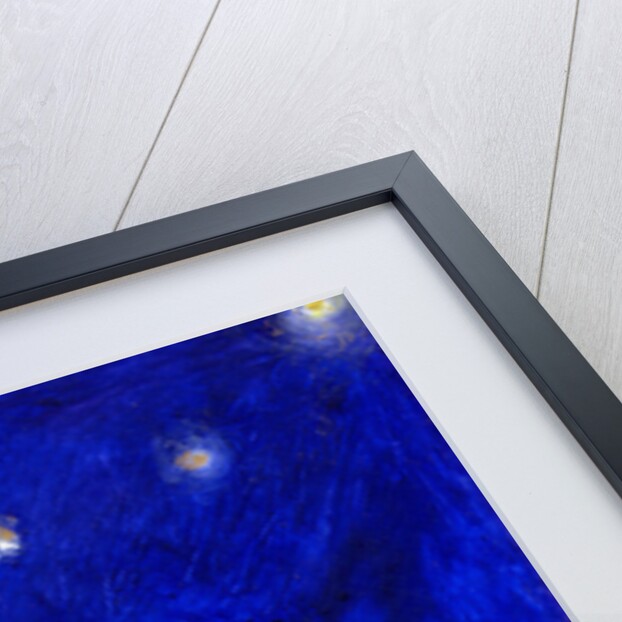 Star Bird, 2012 by Nancy Moniz Charalambous