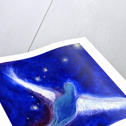 Star Bird, 2012 by Nancy Moniz Charalambous