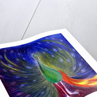 Night of Light, 2012 by Nancy Moniz Charalambous