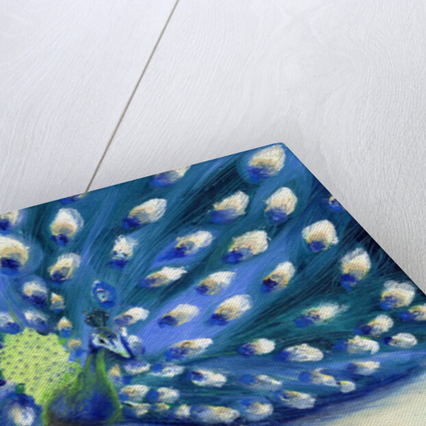 Peacock Eyes by Nancy Moniz Charalambous