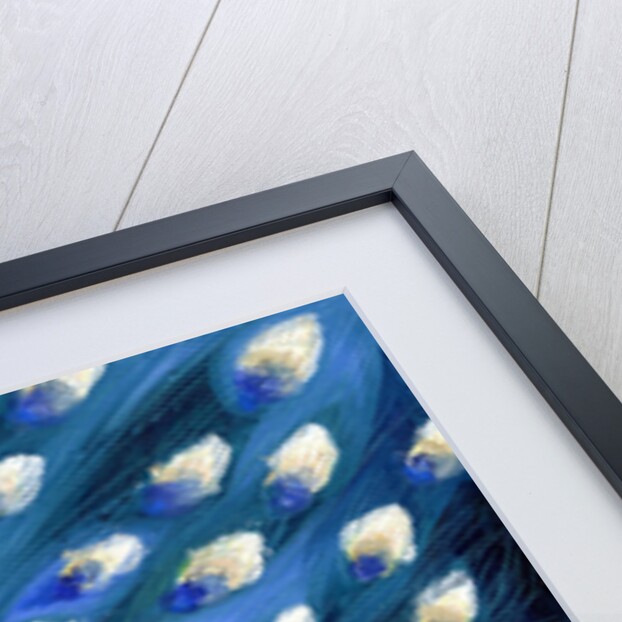 Peacock Eyes by Nancy Moniz Charalambous