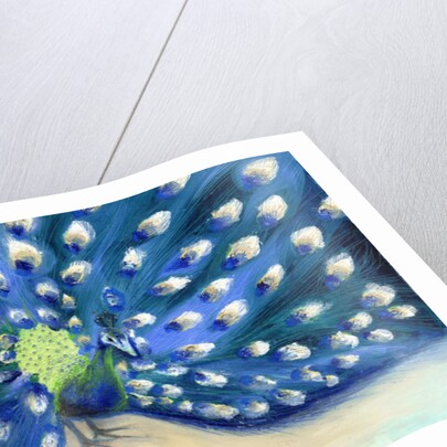 Peacock Eyes by Nancy Moniz Charalambous